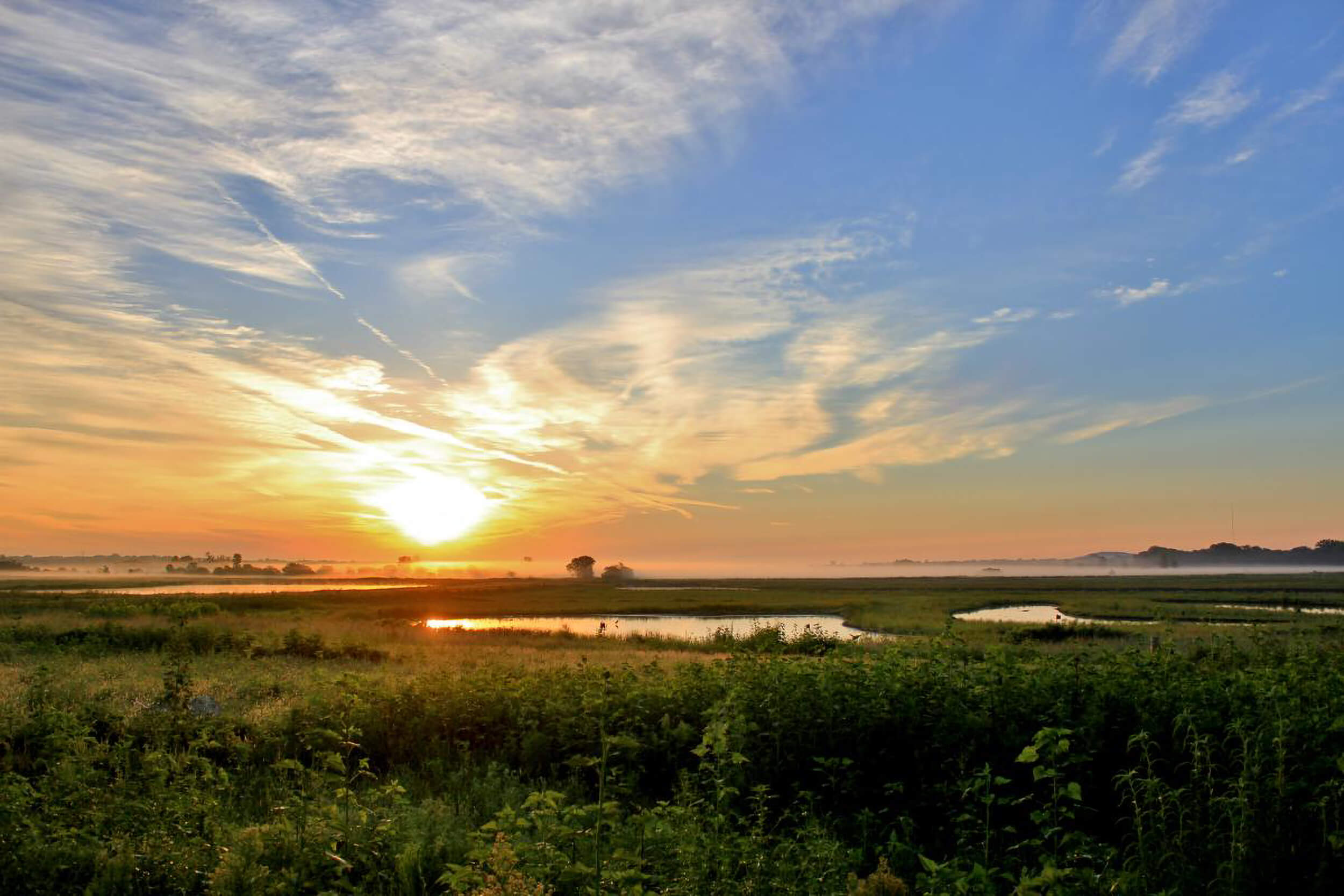 Image for Baker University Announces New Conservation Partnership with Ducks Unlimited and Kansas Alliance for Wetlands & Streams