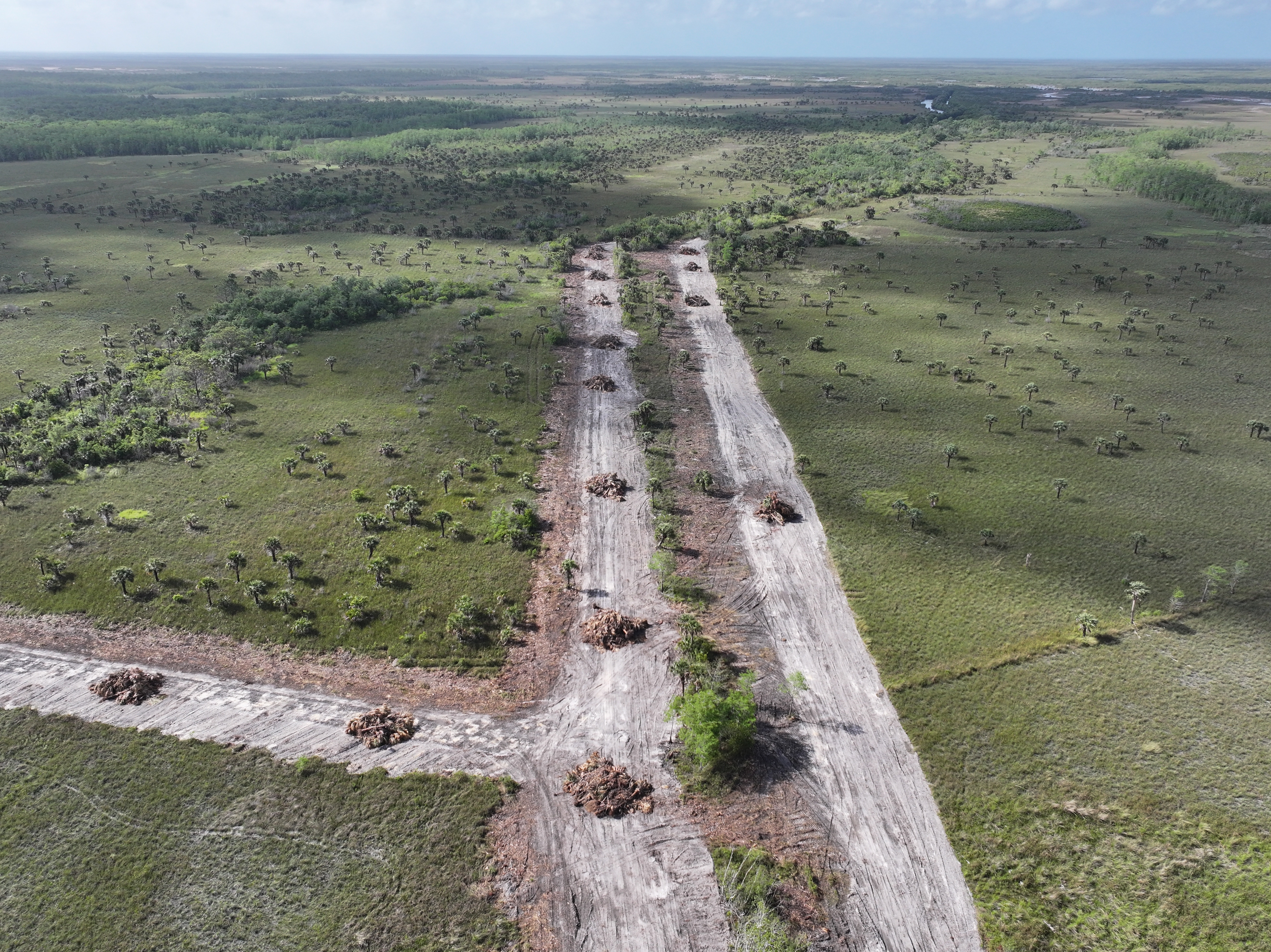 Image for $25,000 Grant Powers Next Phase of Historic Wetland Restoration in Florida's Crown Jewel State Park