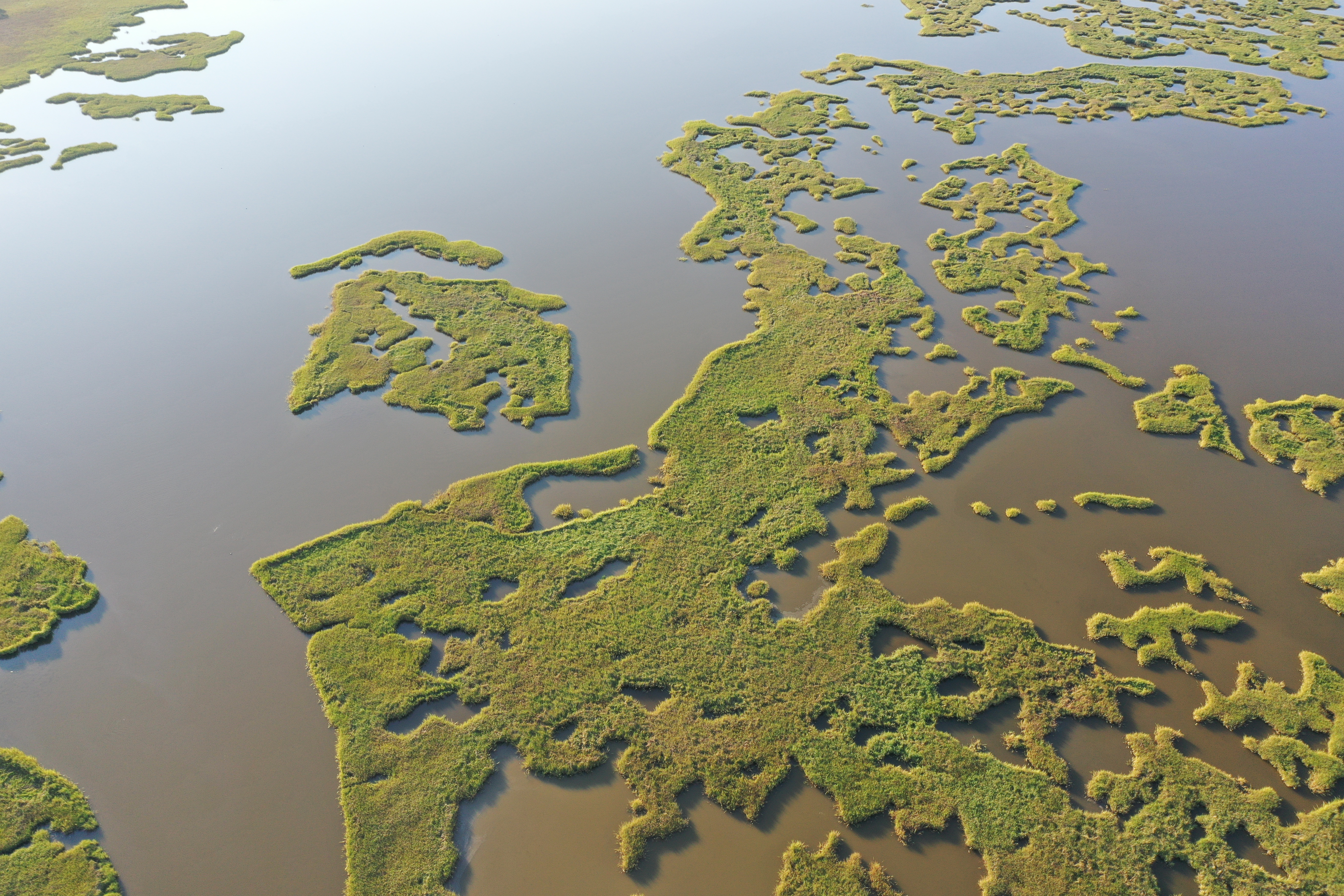 Image for Migratory Bird Conservation Council Approves $3 Million Grant to Chandeleur Island Restoration Project, LA