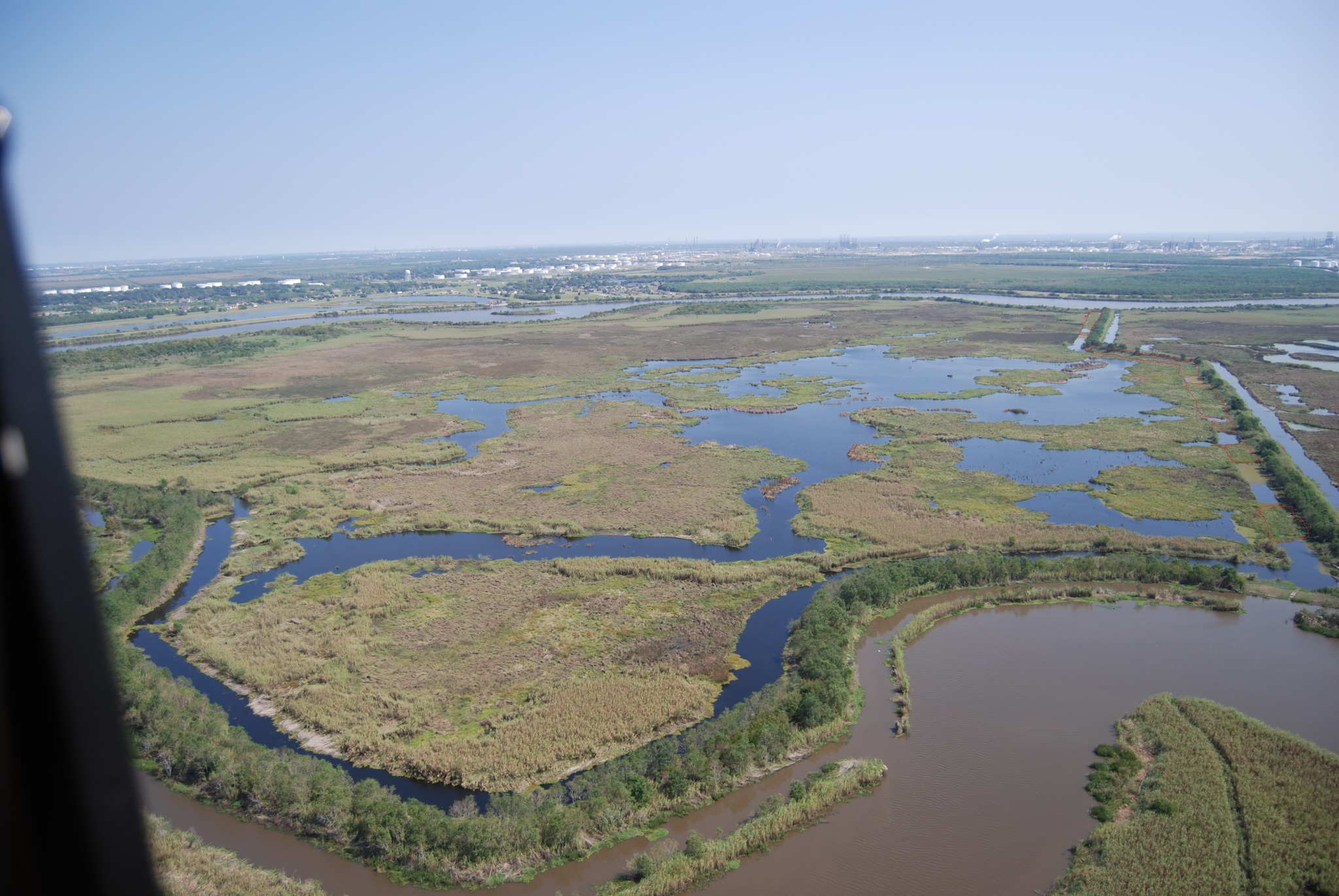 Image for Bringing Life Back to Texas Marshes: A 24,250-Acre Wildlife Haven Gets a Makeover