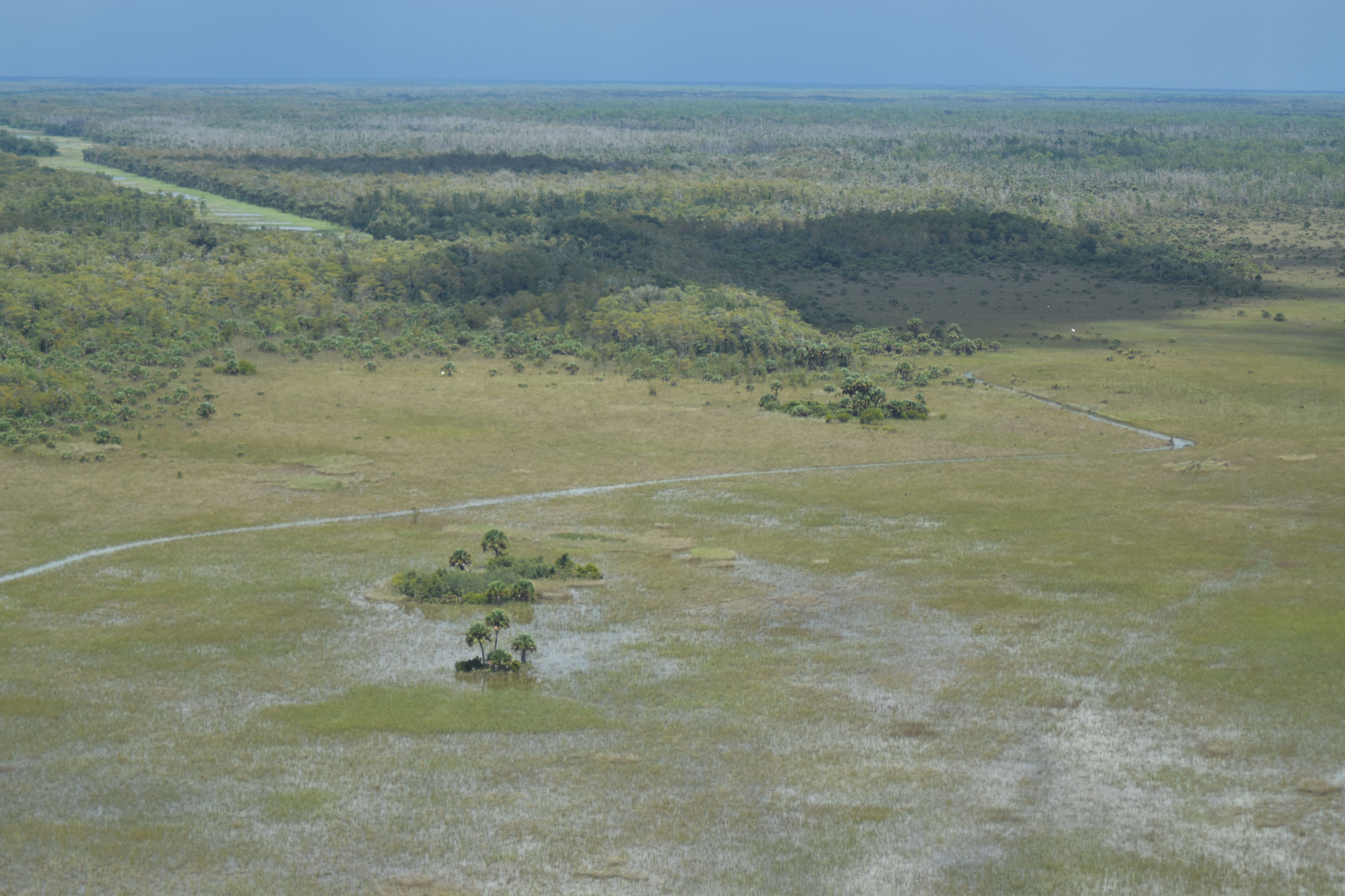 Image for Fakahatchee Strand Preserve State Park to receive critical restoration
