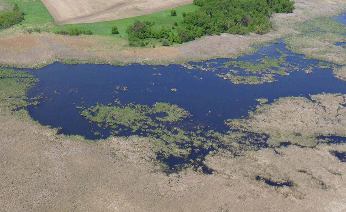 Image for CF Industries Foundation Contributes $250,000 to Iowa Conservation