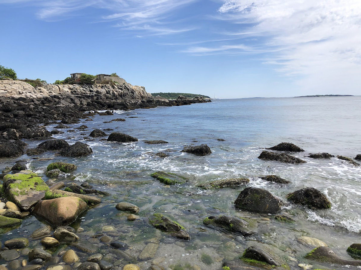 Ducks Unlimited Approved for Long Island In-Lieu Fee Program   