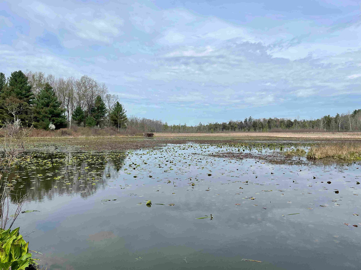 Image for S.K. Rockwell Conservancy Invests $3 Million in Pennsylvania Public Lands 