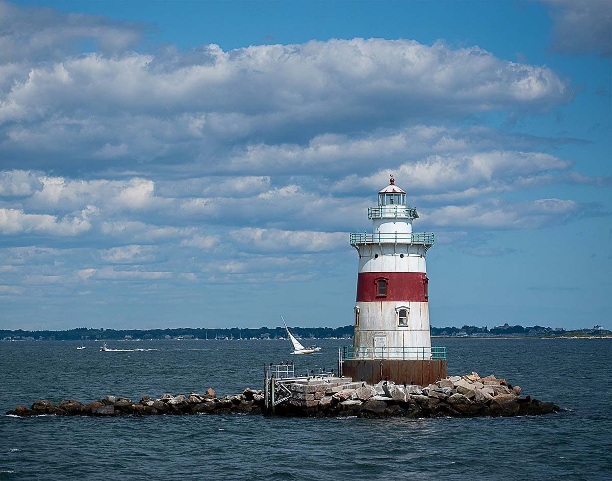 Ducks Unlimited Establishing Long Island In-Lieu Fee Program