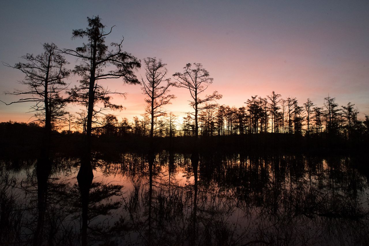 Image for USDA Awards $19 Million for Wetland Restoration and Regenerative Agriculture in Southern Illinois