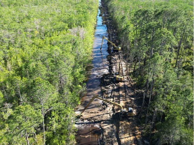 Image for Hydrologic Restoration at MK Ranch, Gulf County, FL