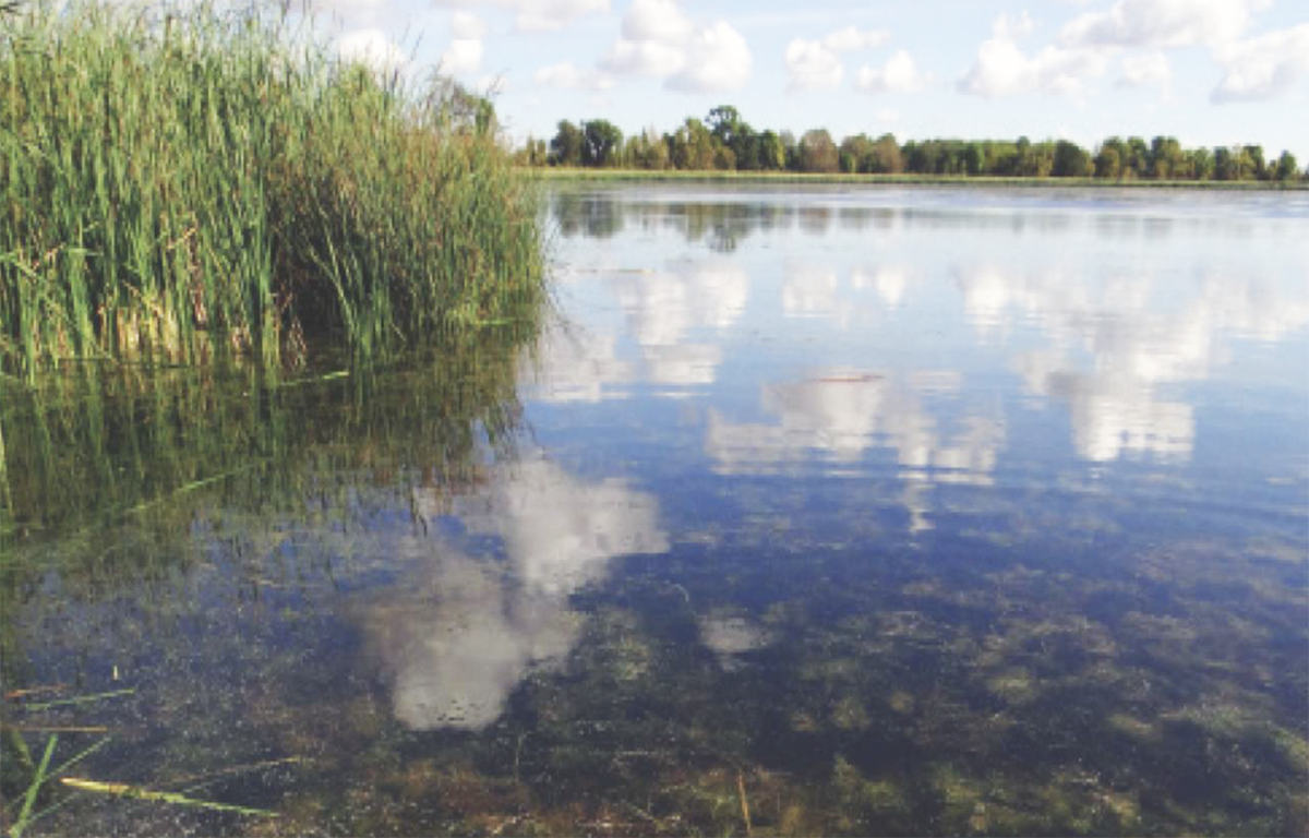 Image for 700 Acres of Public Land Protected at Sanborn Lake WMA 