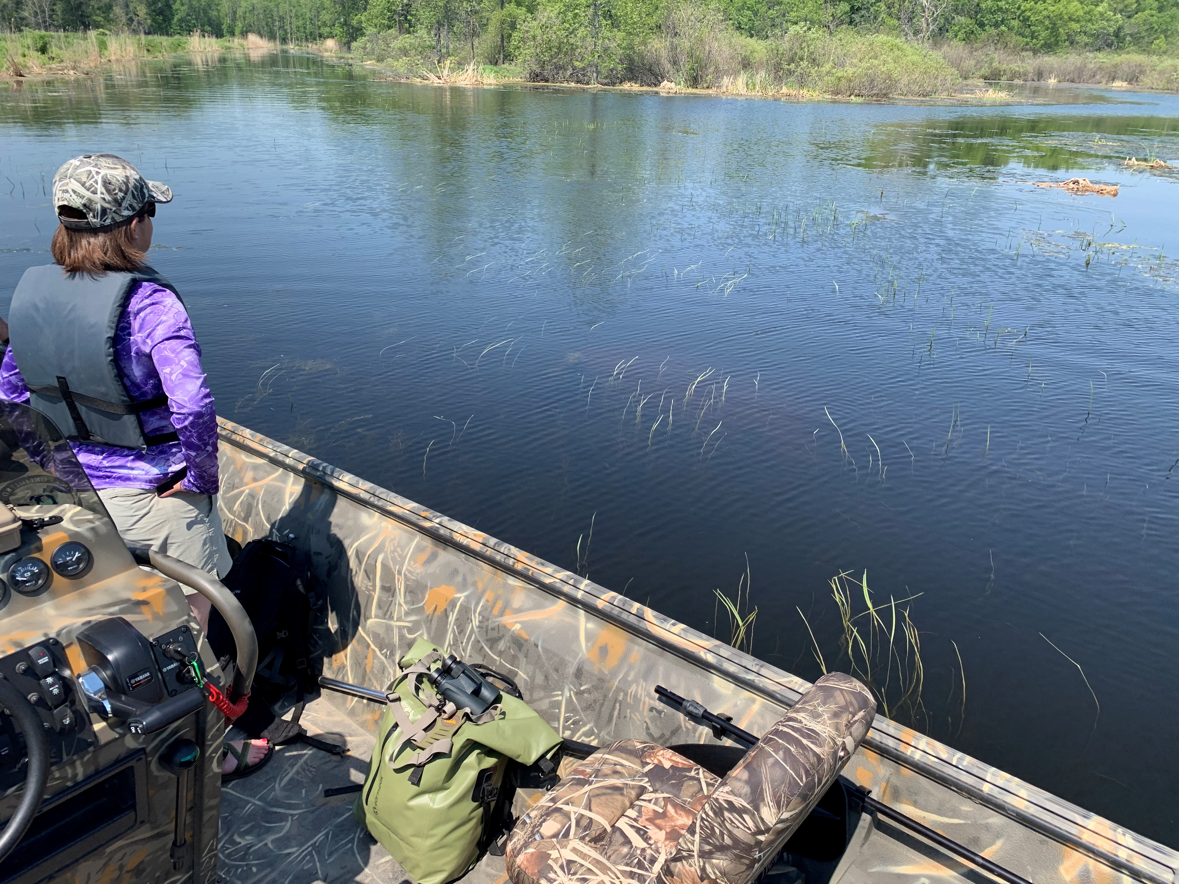 Image for Yamaha Rightwaters Continues Wetland Conservation Partnership with Ducks Unlimited in Green Bay