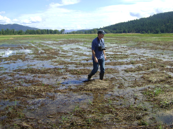 Image for Shaping the Landscape: DU’s Chris Bonsignore Retires After a Quarter Century of Conservation in the Pacific Northwest