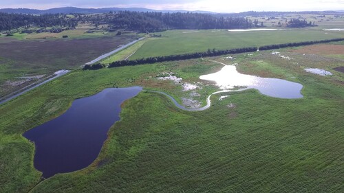 Image for Washington Legislative Update: Ducks Unlimited Defends Conservation, Access, and Outdoor Traditions 