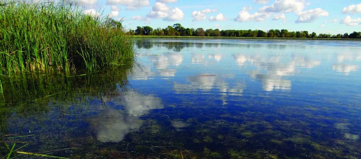 Living Lakes