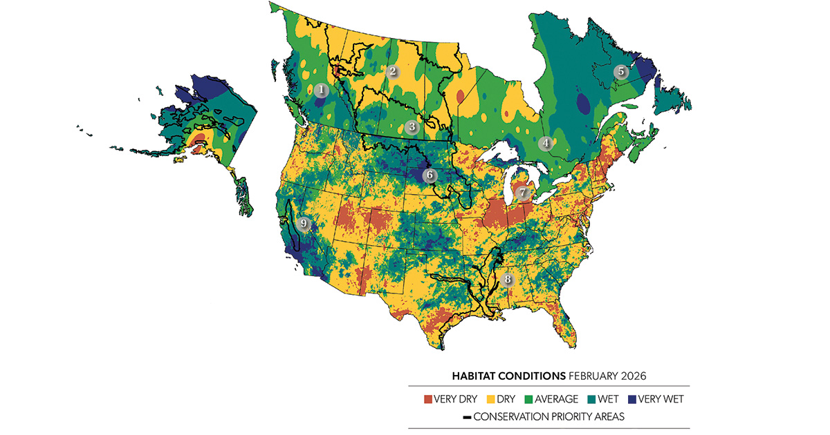 Image for Field Reports: 2026 Early-Spring Habitat Outlook