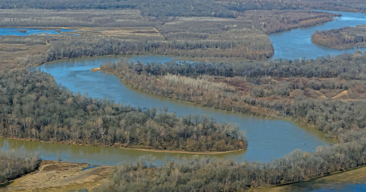 River in the Mississippi Alluvial Valley. Photo by GaryKramer.net