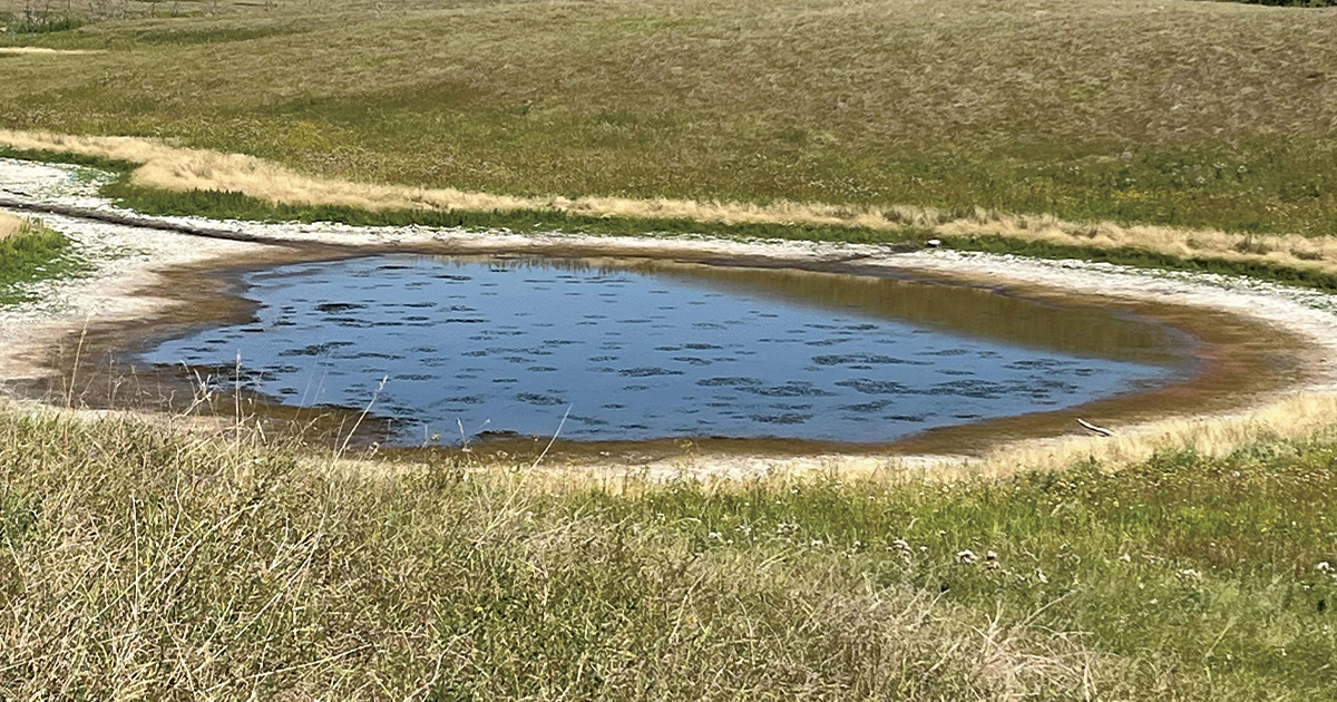 Prairie Pothole. Photo by DU Canada.jpg