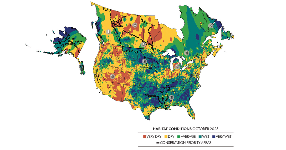 Fall Habitat Outlook Map 2025. Ducks Unlimited