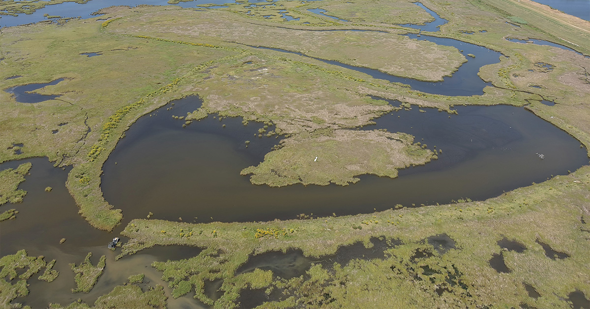 Southern Louisiana. Photo by Scott Graham, DU.jpg