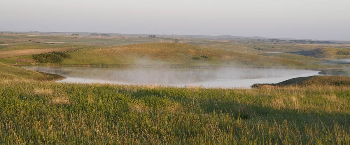 natie prairie pothole
