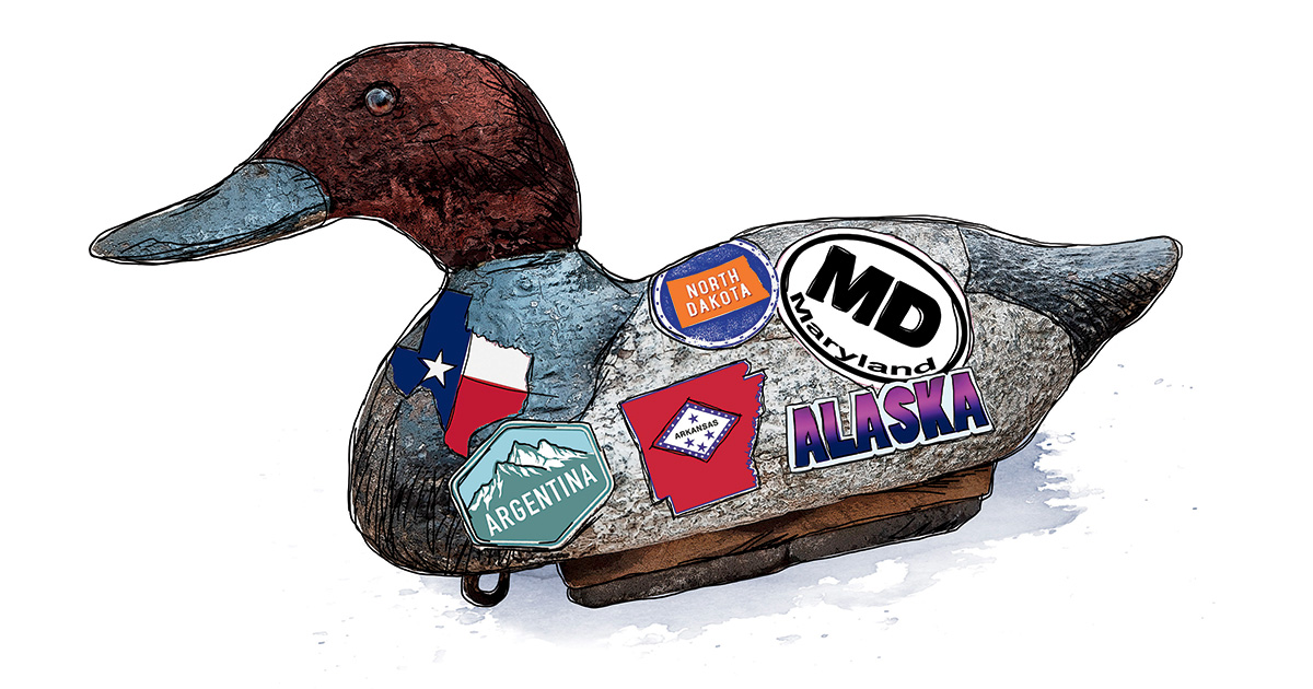 The Traveler. Illustration by John Denney