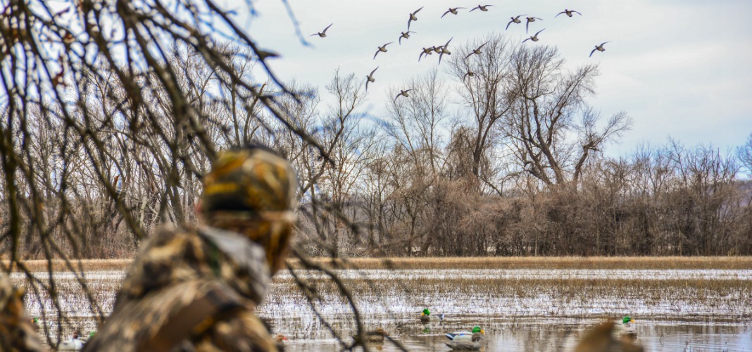  5 Central Flyway Public Waterfowl Hunting Destinations for 2017-2018