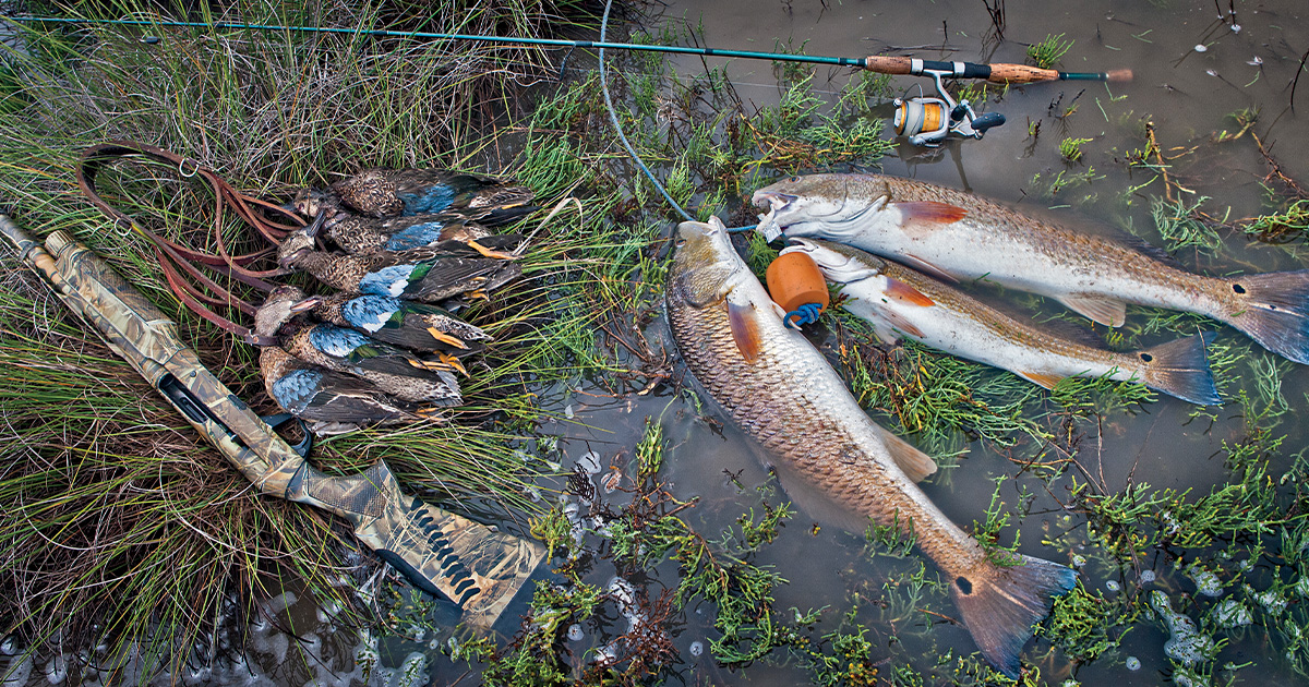 Harvested blue-winged teal and red snapper. Photo by Todd J. Steele