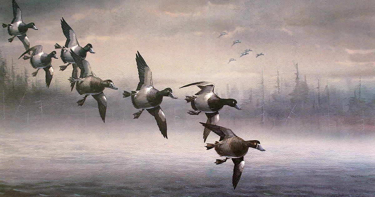 Foggy Morning Bills by Les Kouba