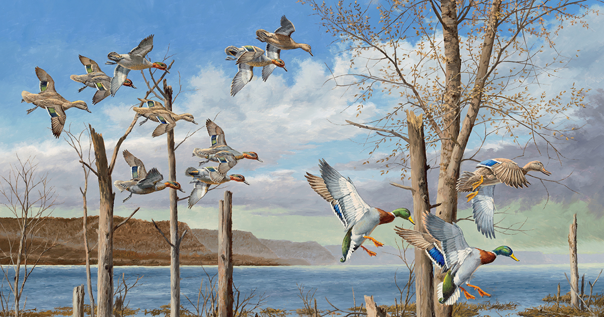 Image for Where Art Meets the Marsh