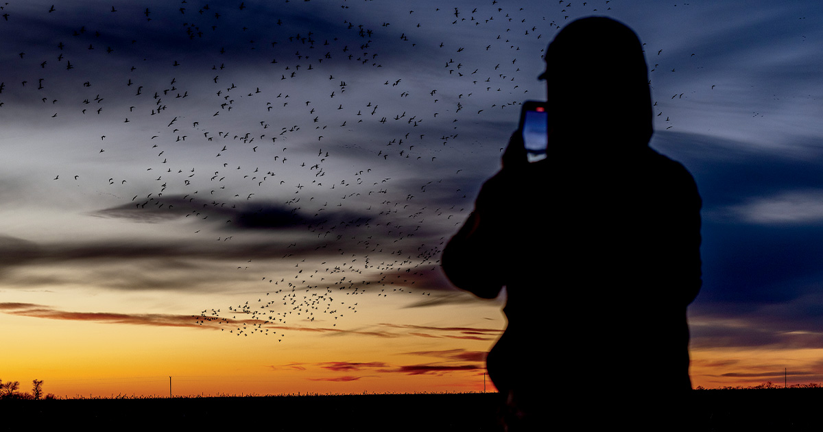 Hunter recording the waterfowl migration at sunset. Photo by Ed Wall Media