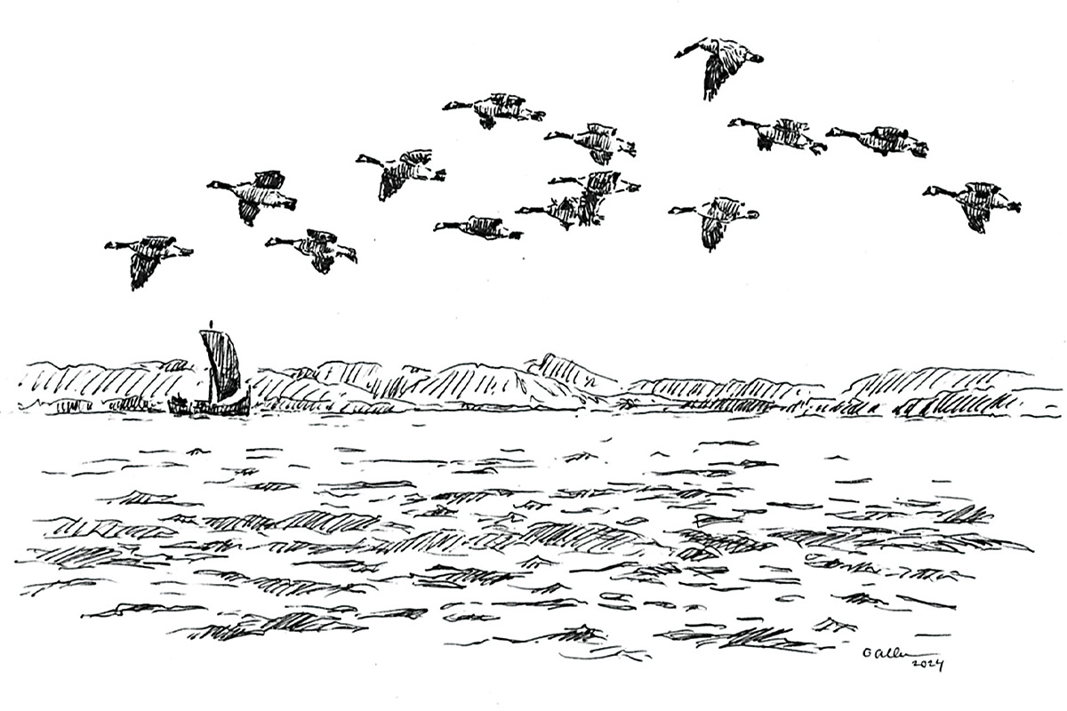 Gordon Allen illustration