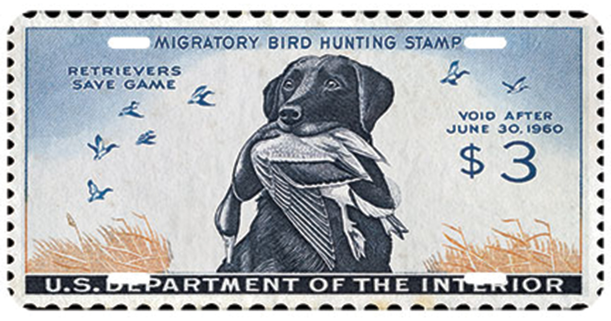 The “King Buck” Federal Duck Stamp of 1959 License Plate