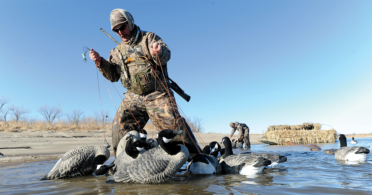 Waterfowler placing decoys. Photo by Jim Thomnpson