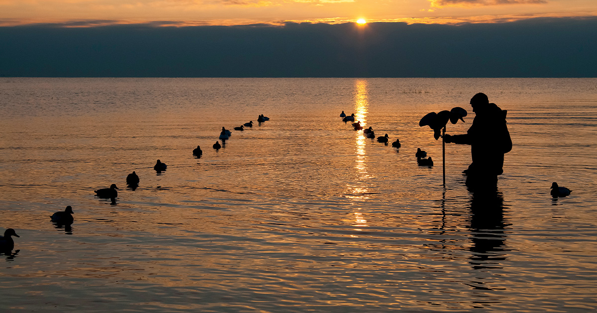 Waterfowler's Journal: Diver-Hunting Basics