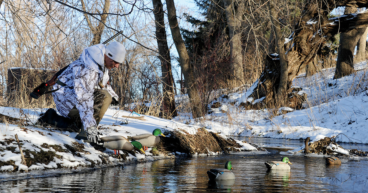 Waterfowl hunter placing decoys in a creek. Photo by Jim Thompson