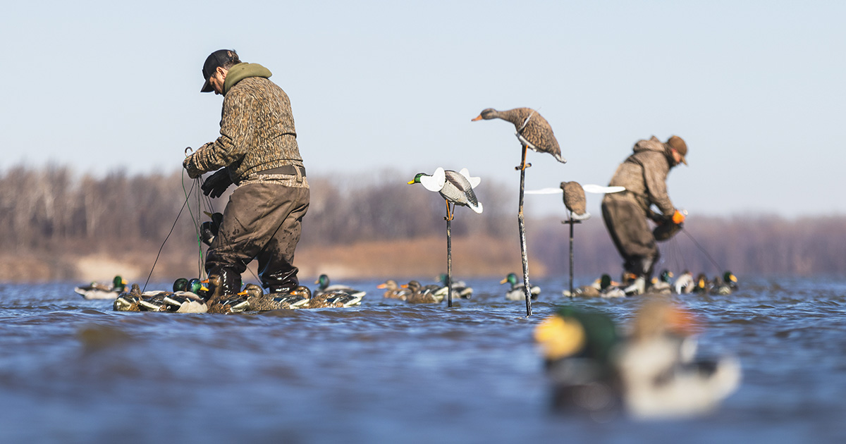 Hunters placing decoys. Photo by Ed Wall Media