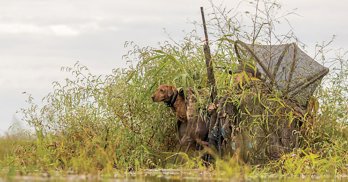 Waterfowl hunter in blind. Photo by Ed Wall Media