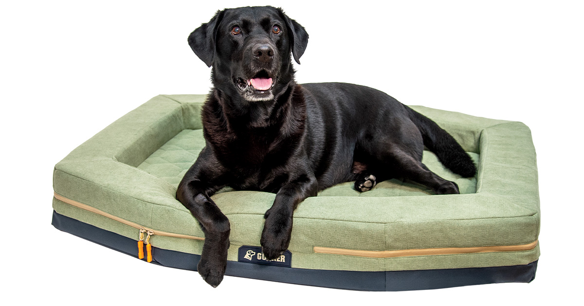 Gunner Homestead Dog Bed.jpg