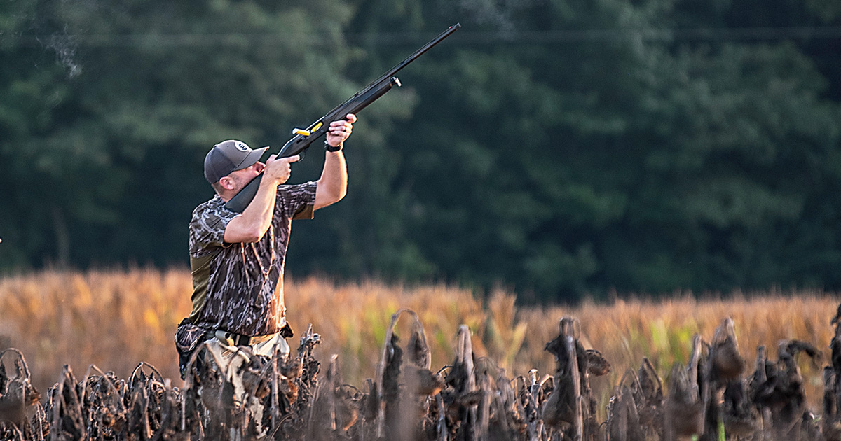 Image for Waterfowler's Journal: Dreaming of Doves