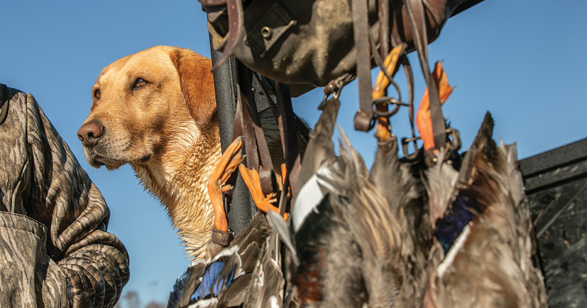 Image for Maximizing the onX Hunt App for Duck Hunting