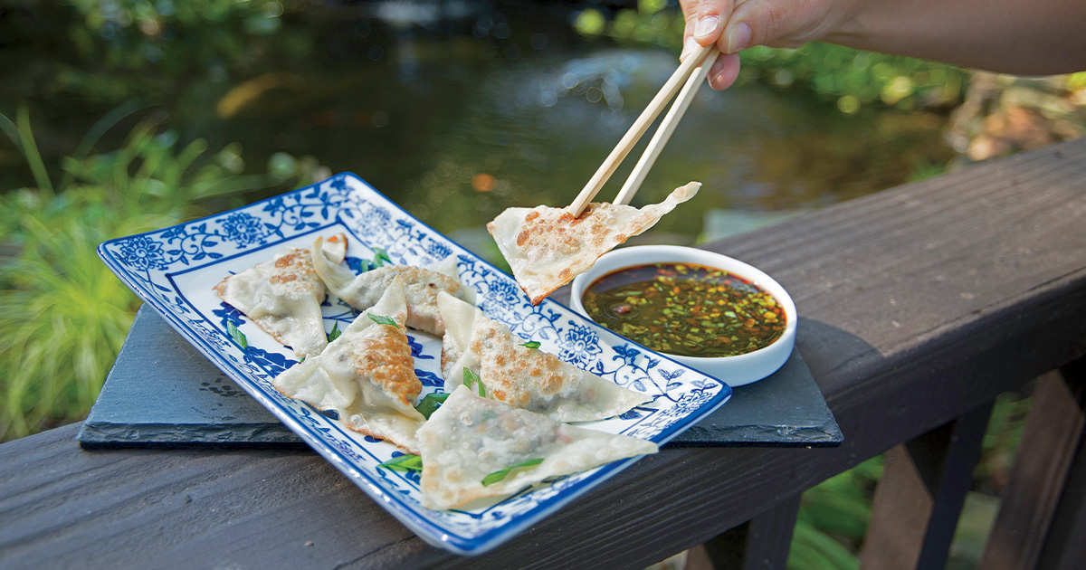 Hoffman, wonton.jpg