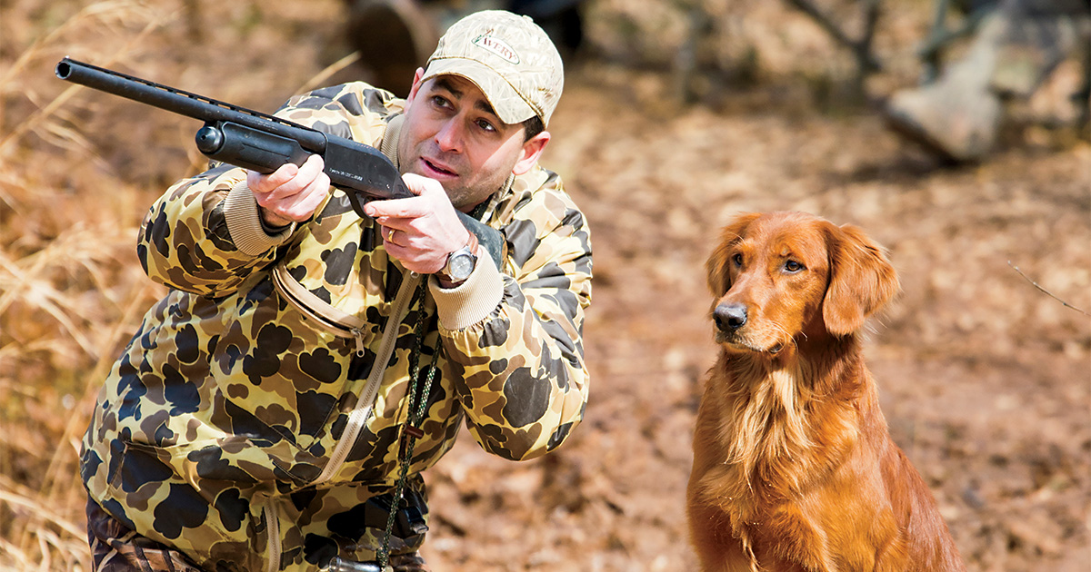 Retrievers: A Beginner’s Guide to Hunt Tests