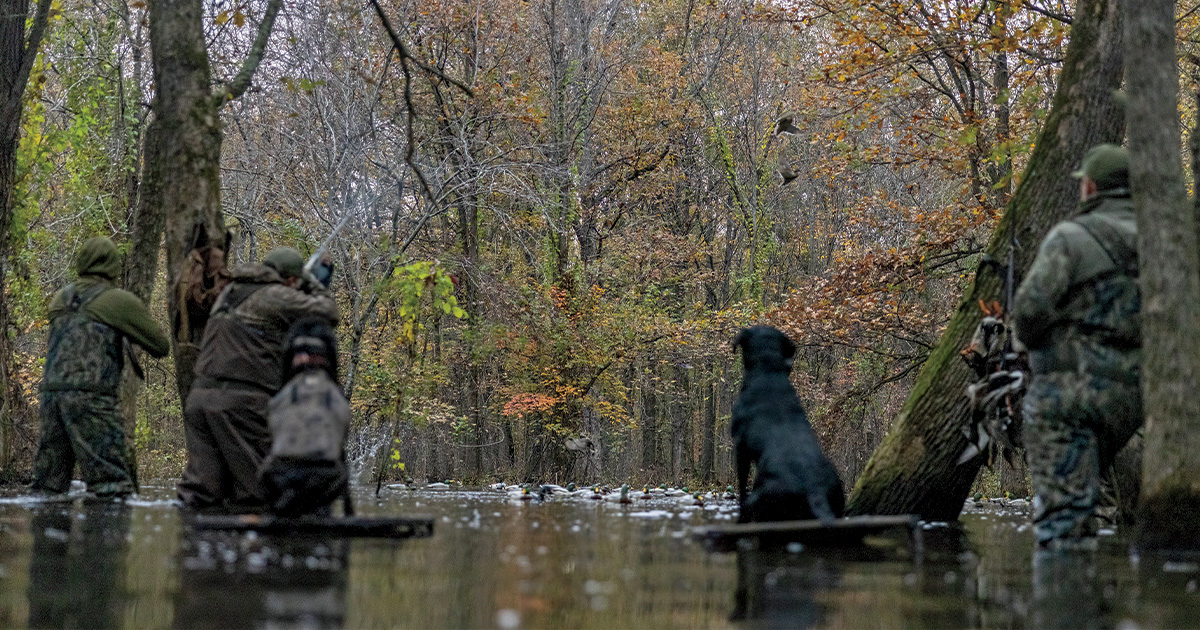 Retrievers: Lessons in the Field