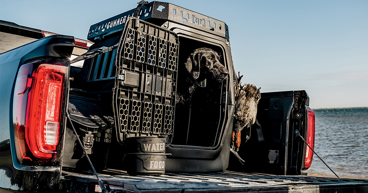 Image for On the Road with Your Retriever