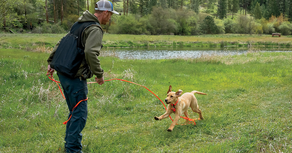 Retrievers: Total Recall