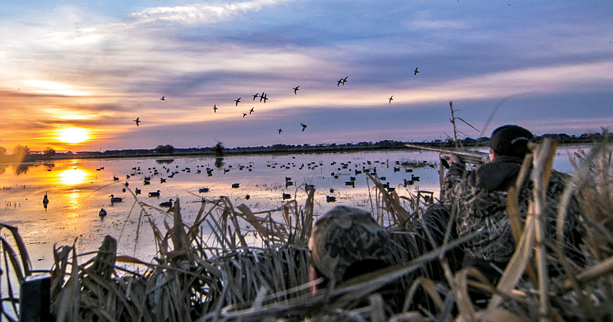 Image for Shotgunning: Making a Duck Hunter