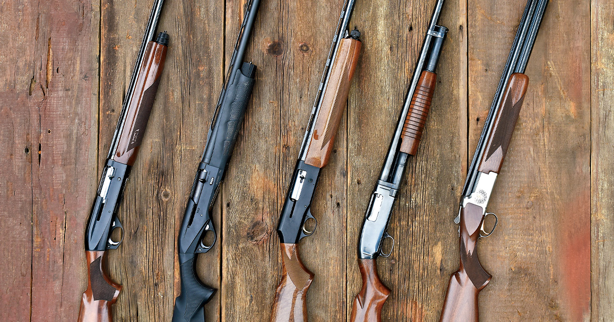 Shotgunning: My Duck Guns