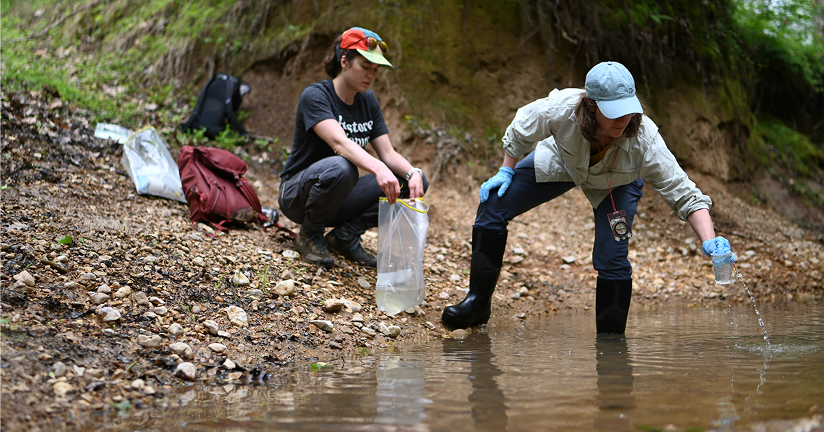 Image for DU, Bonneville Environmental Foundation, and Meta Expand Partnership to Restore Mississippi Alluvial Valley Wetlands