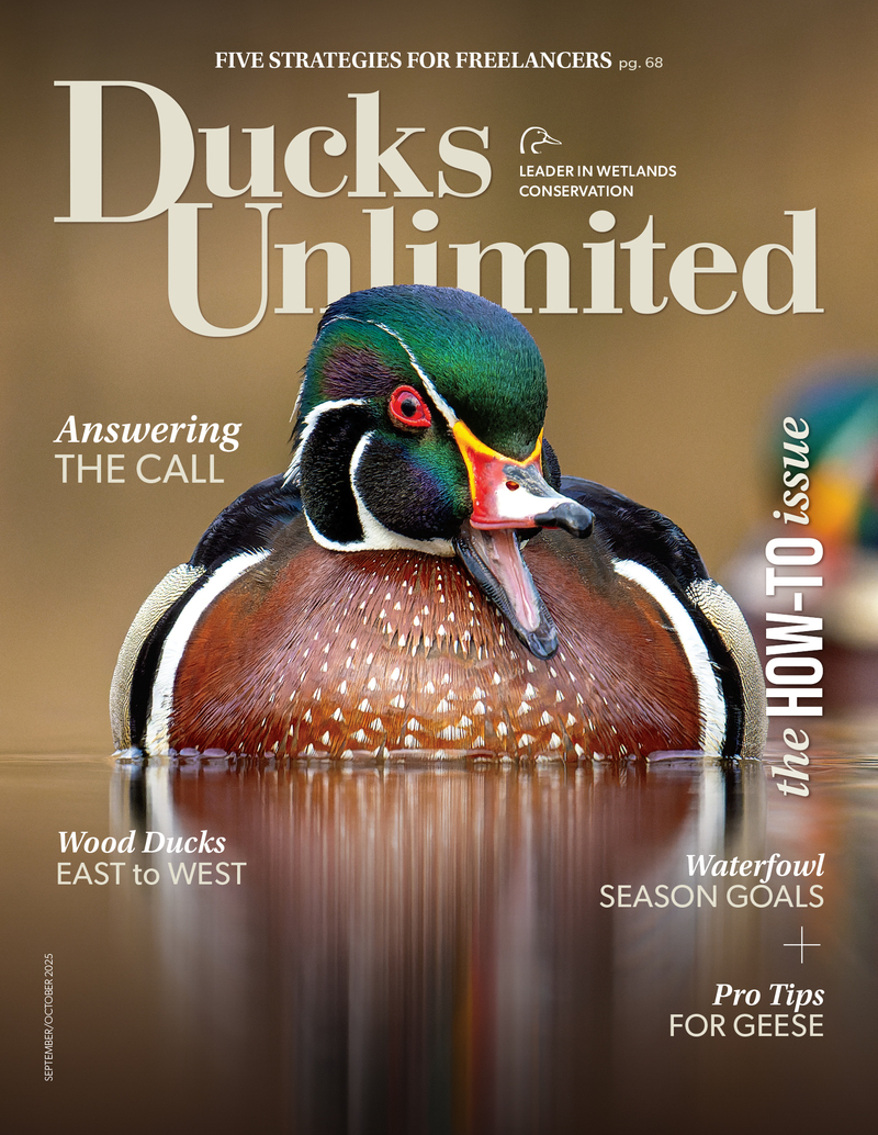 September/October 2025