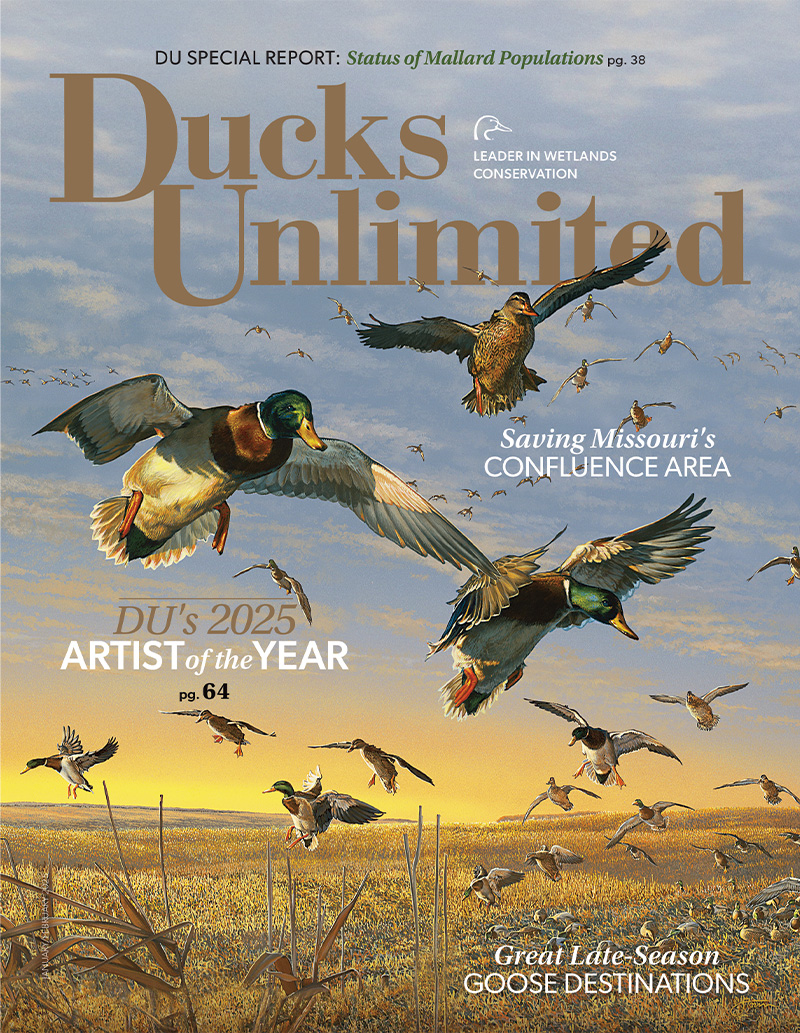 January / February 2025